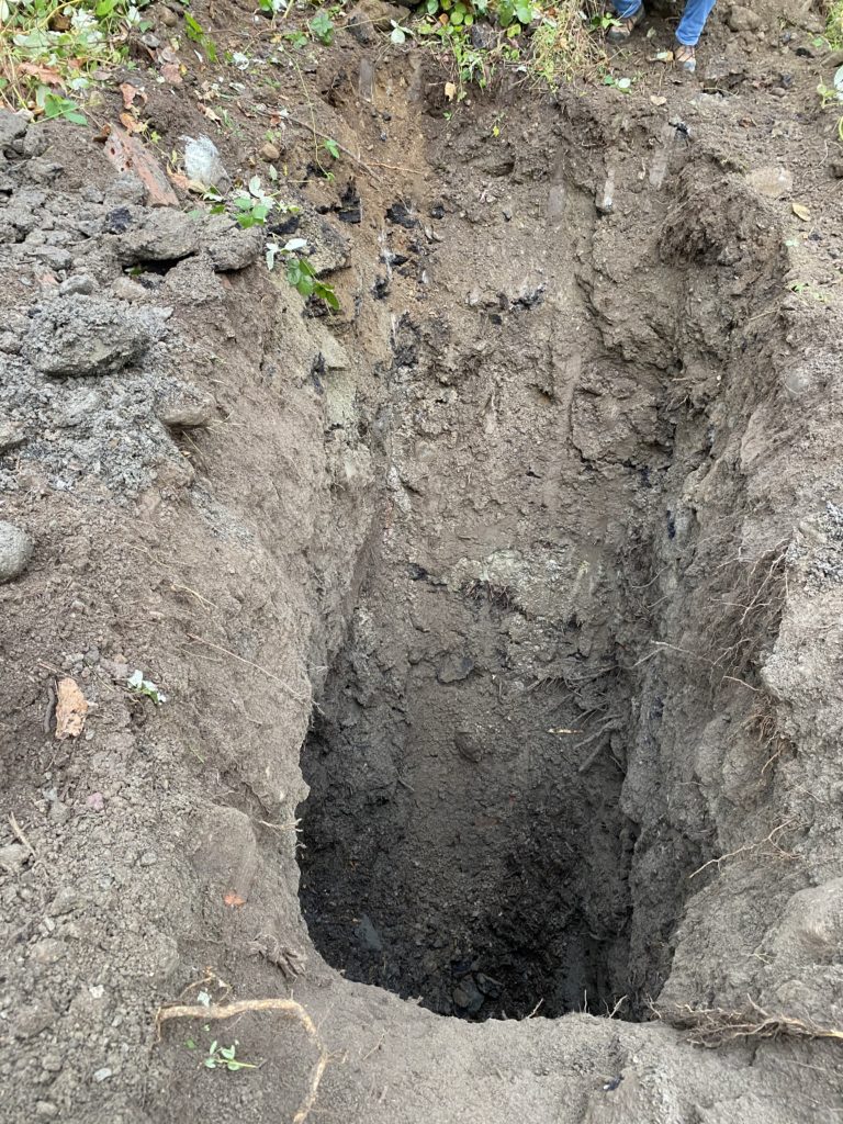 Maplewood environmental project