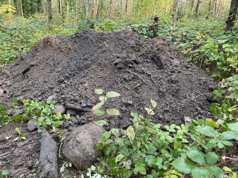 Maplewood environmental project
