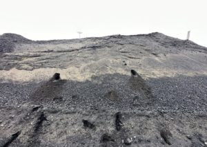 Westshore terminals project Delta, BC